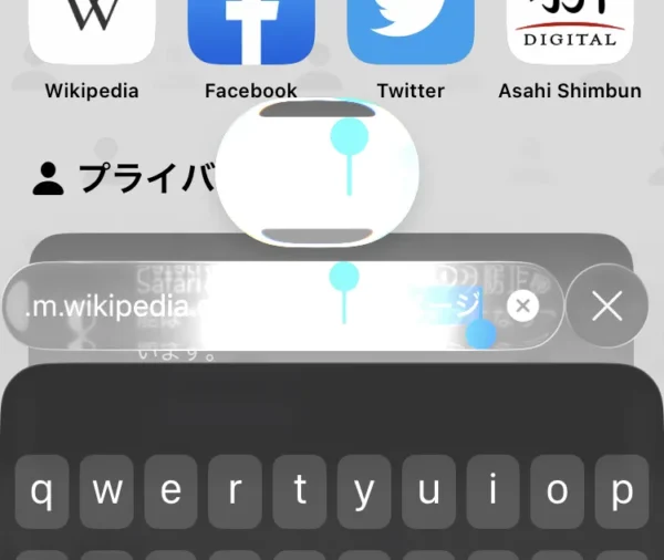 iOS 26 の Safari のアドレスバーで文字列を選択している状態のスクリーンショット。発光エフェクトが邪魔で選択している文字が分かりづらい。