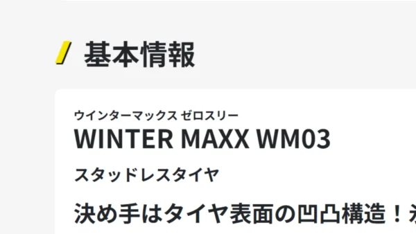 WINTER MAXX WM03 の製品ページのスクリーンショット。